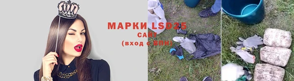 ПСИЛОЦИБИНОВЫЕ ГРИБЫ Армянск