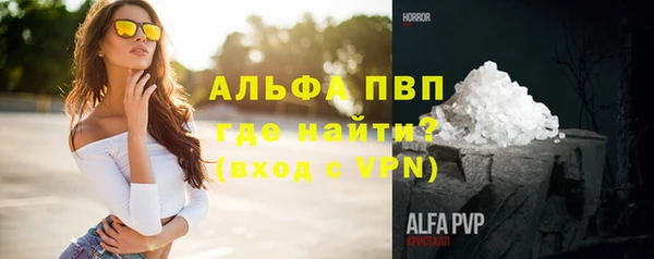 ешки Бородино