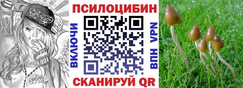 ссылка на мегу сайт  Бабаево  Псилоцибиновые грибы мухоморы 