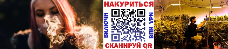 купить наркотики сайты  Бабаево  Шишки марихуана марихуана 